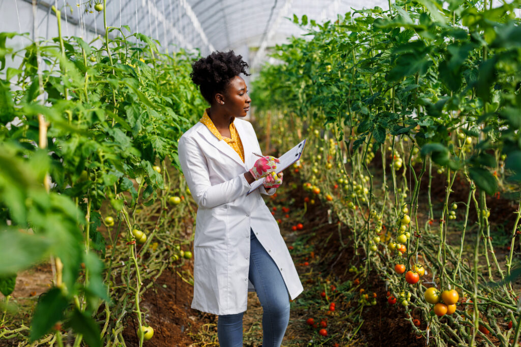 Scientist inspecting farm